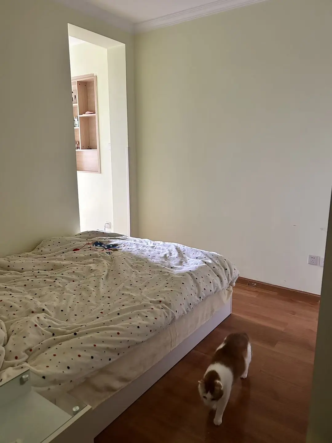 房屋图片 1