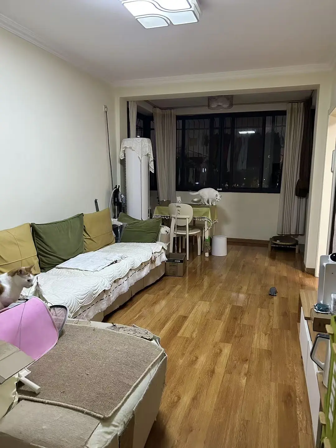 房屋图片 5