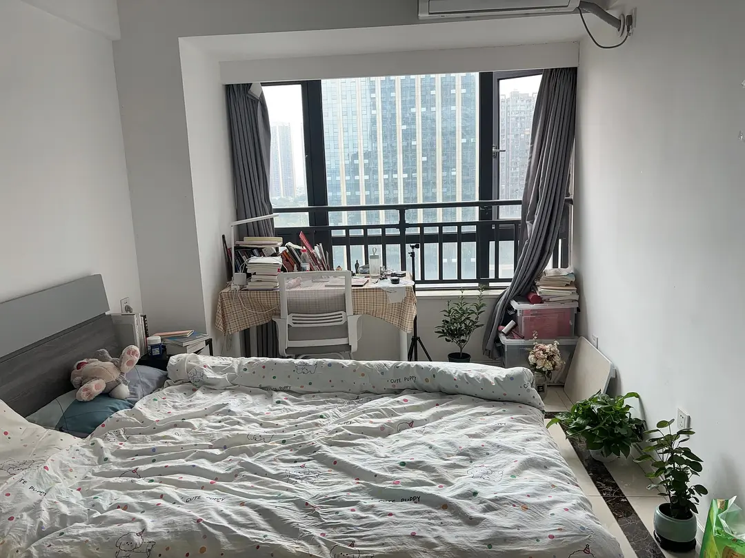 房屋图片 2