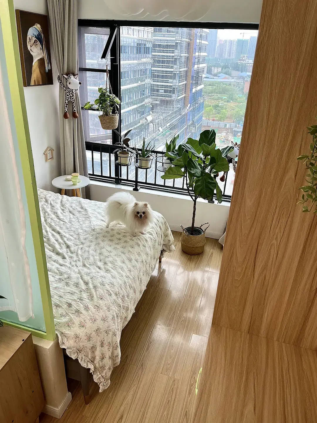 房屋图片 3