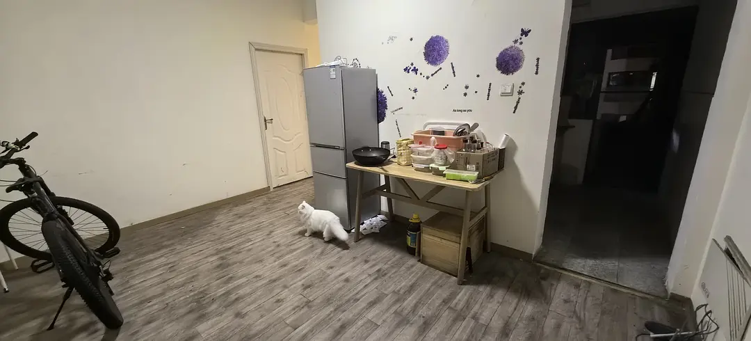 房屋图片 4