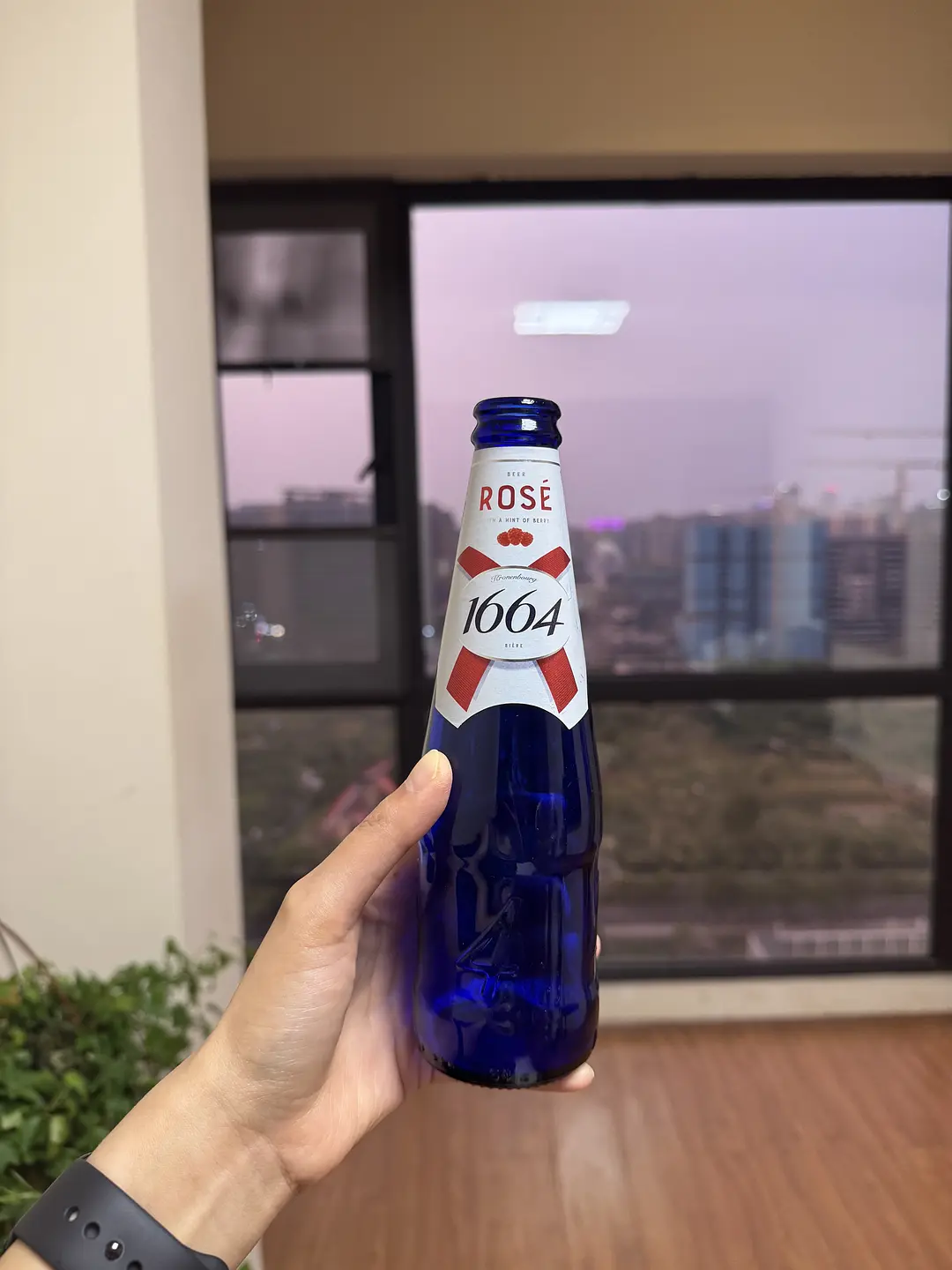 房屋图片 14