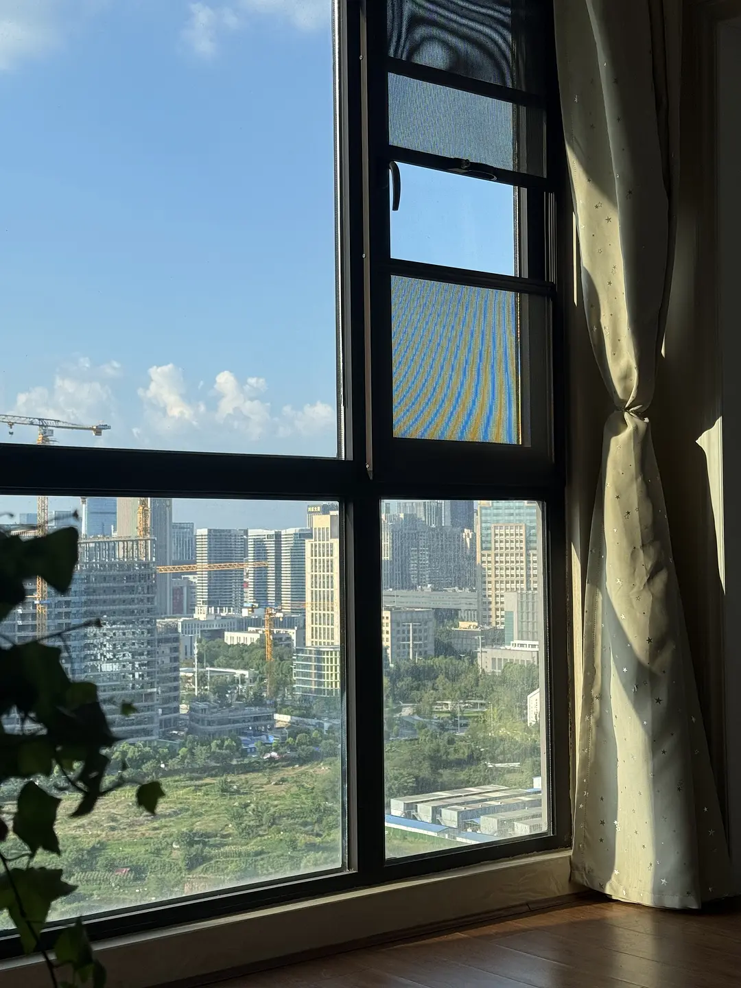 房屋图片 15