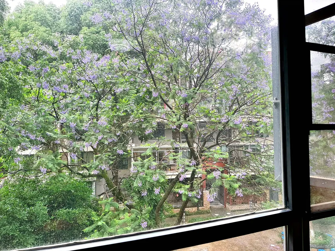 房屋图片 11