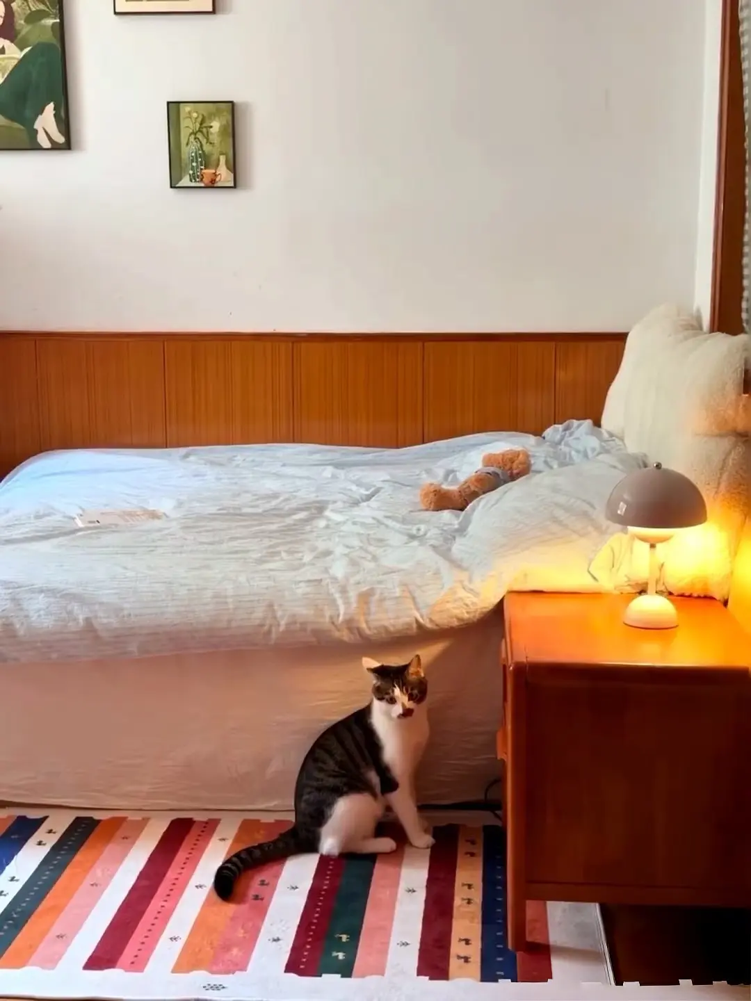 房屋图片 4
