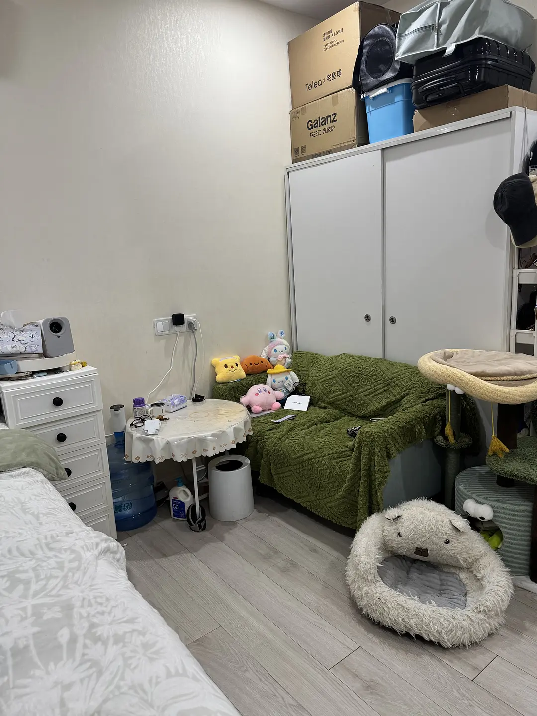 房屋图片 3