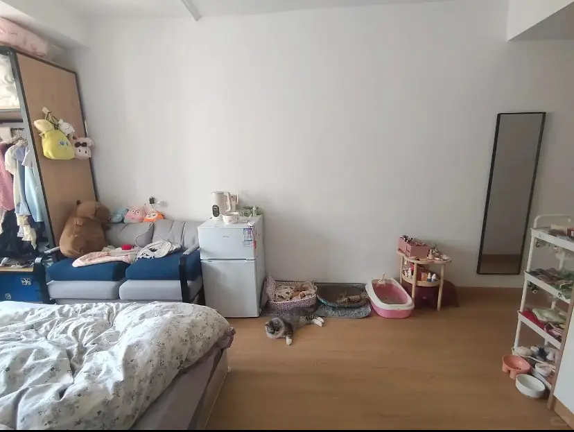 房屋图片 3
