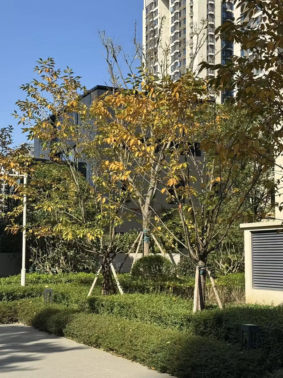 房屋图片 2
