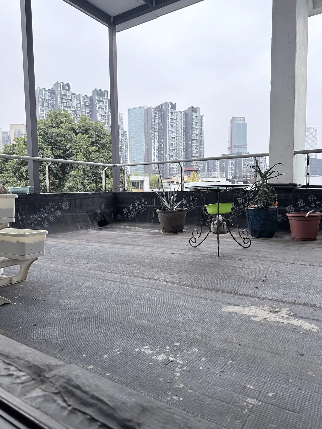 房屋图片 5