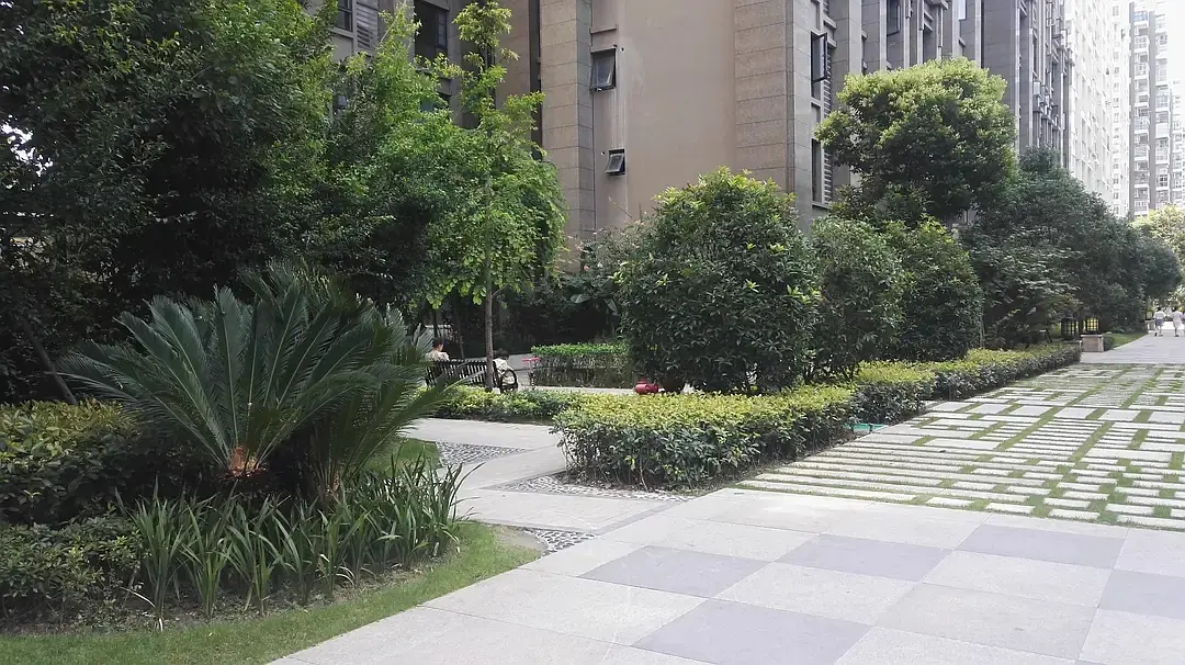 房屋图片 15
