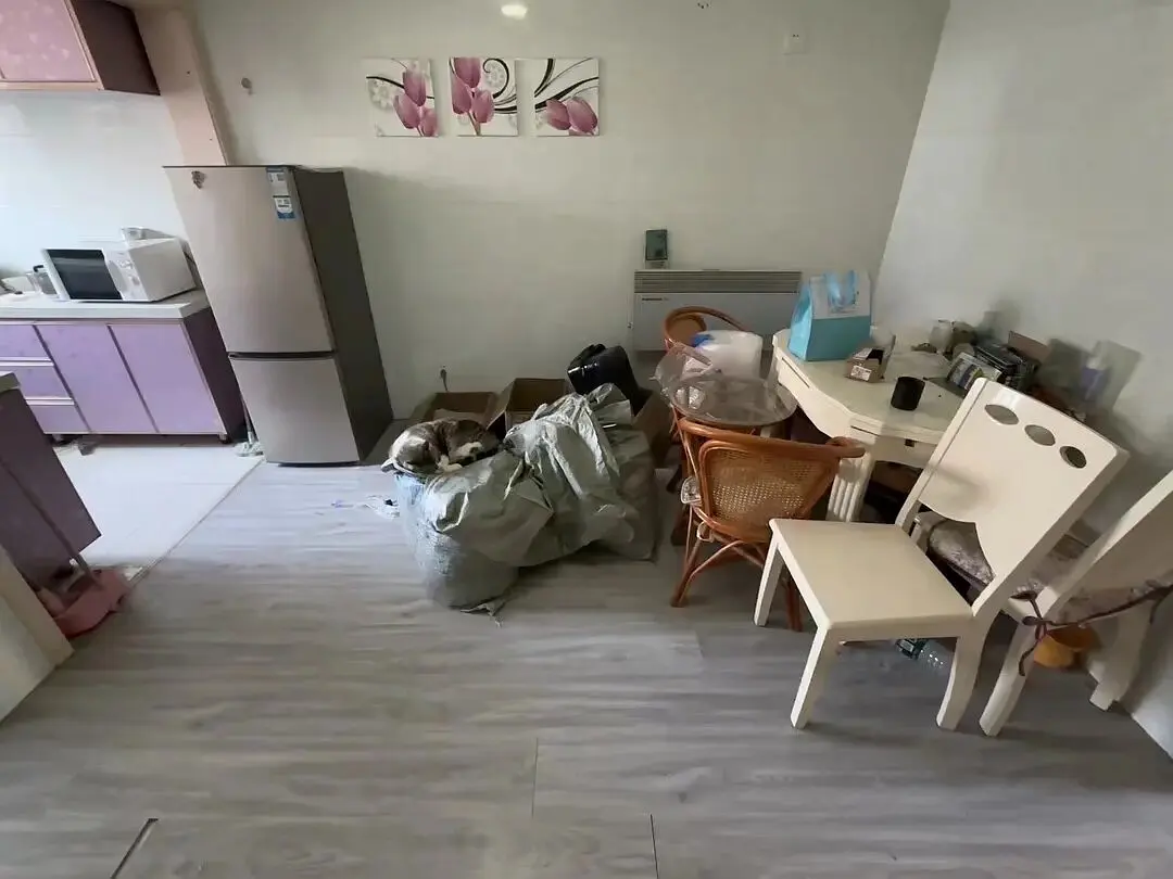 房屋图片 3