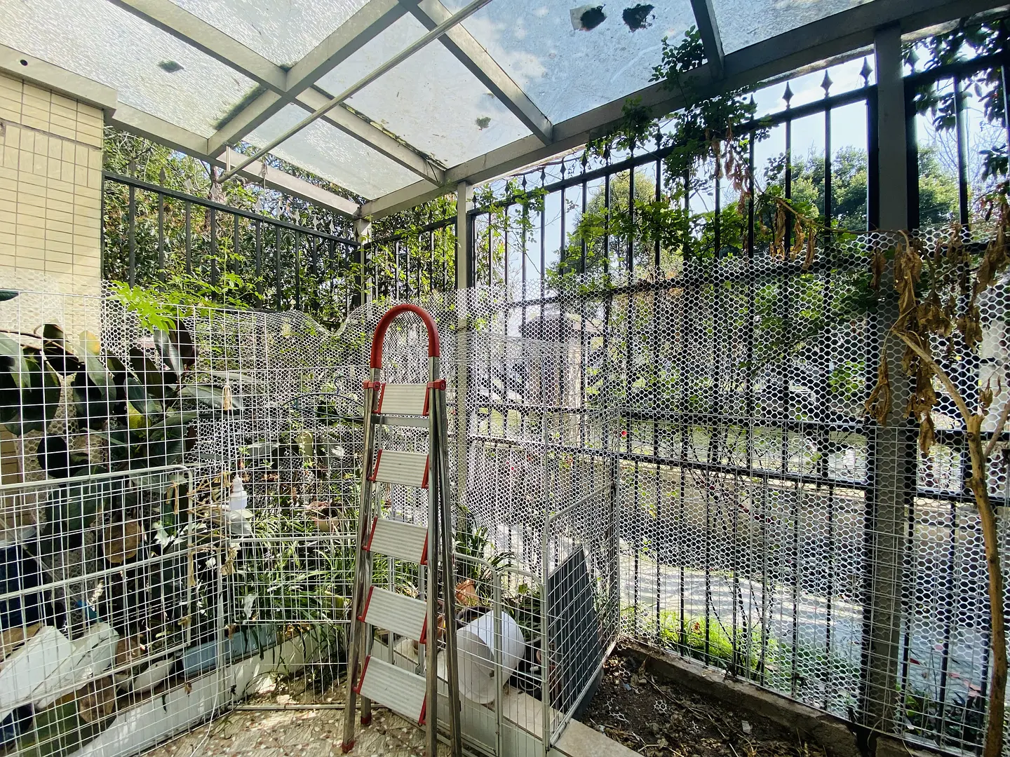 房屋图片 9