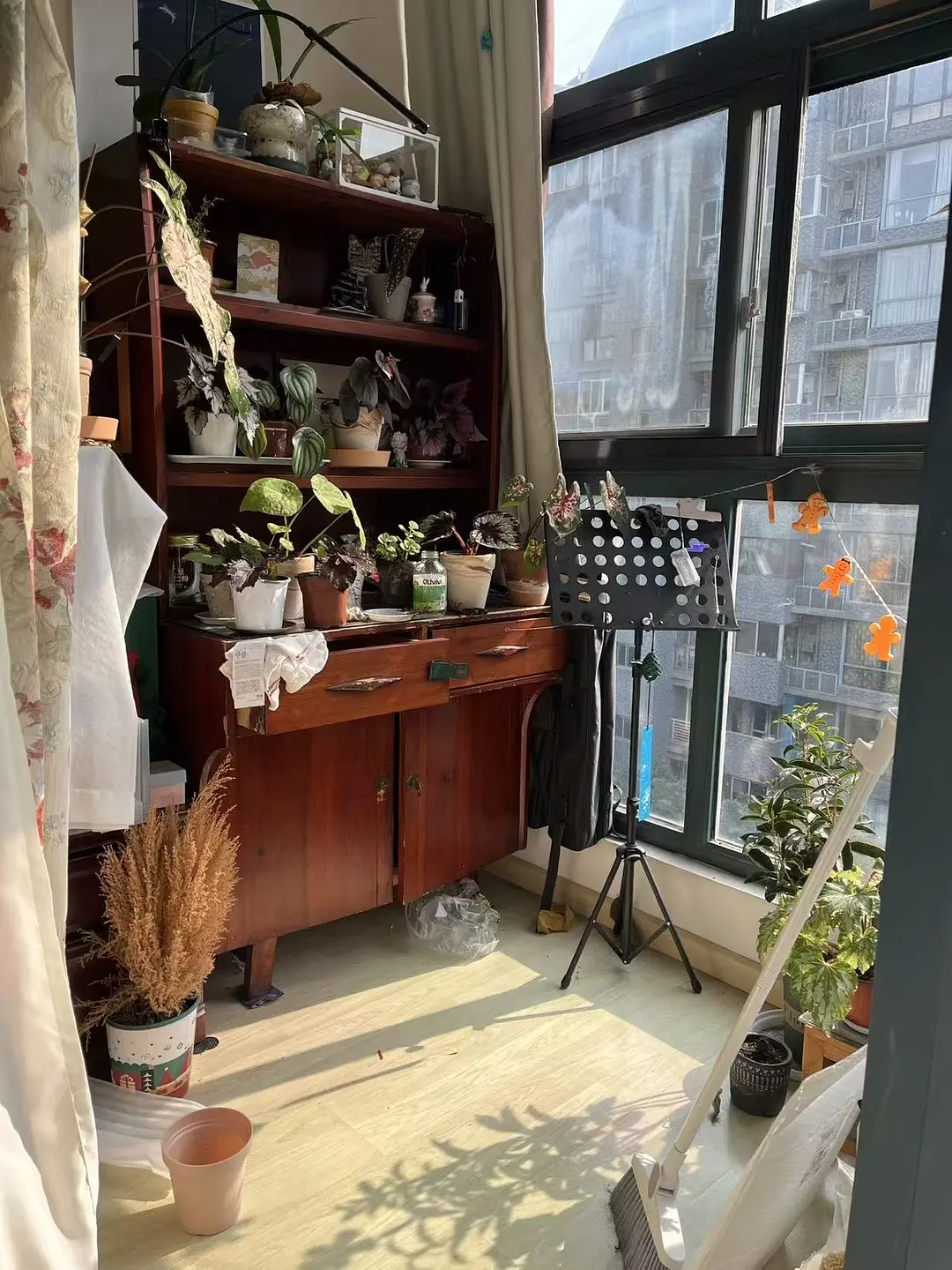 房屋图片 2