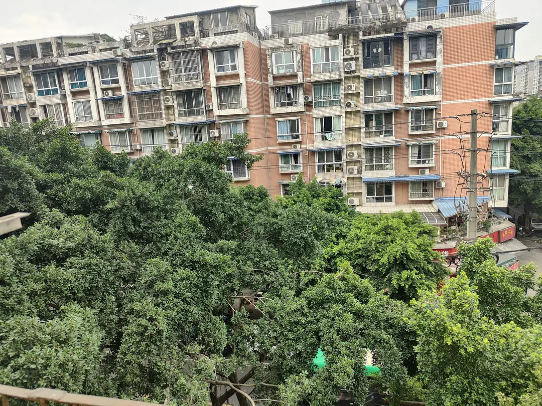 房屋图片 6