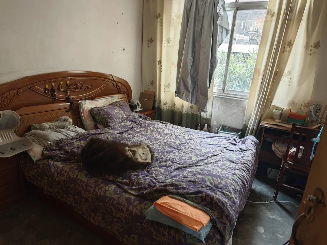 房屋图片 2