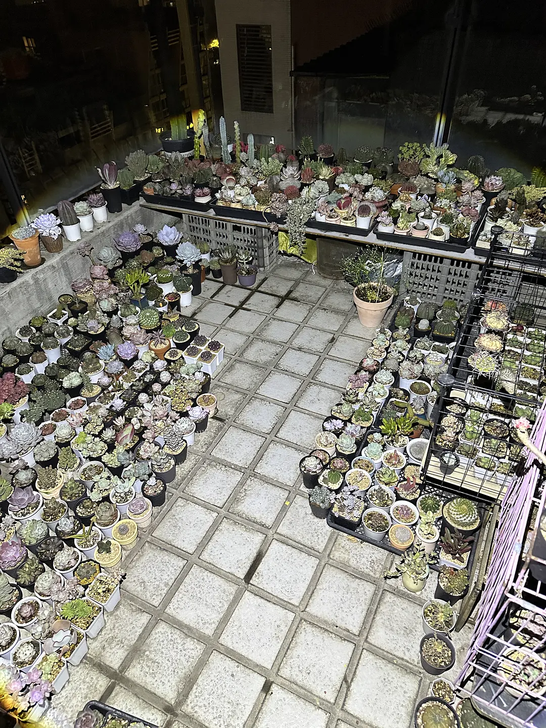 房屋图片 2