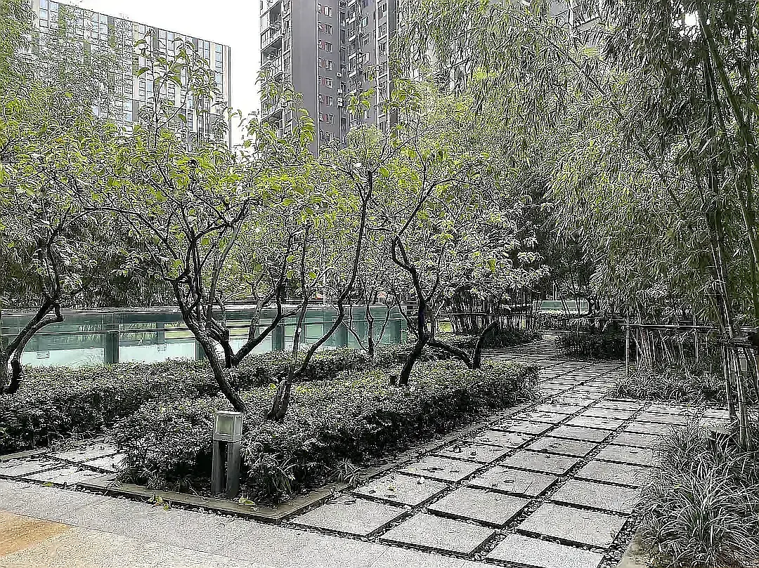 房屋图片 8