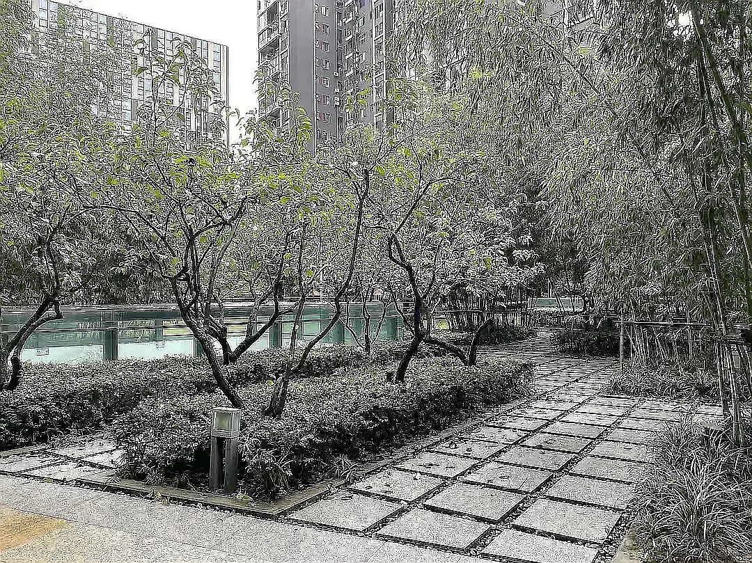 房屋图片 8