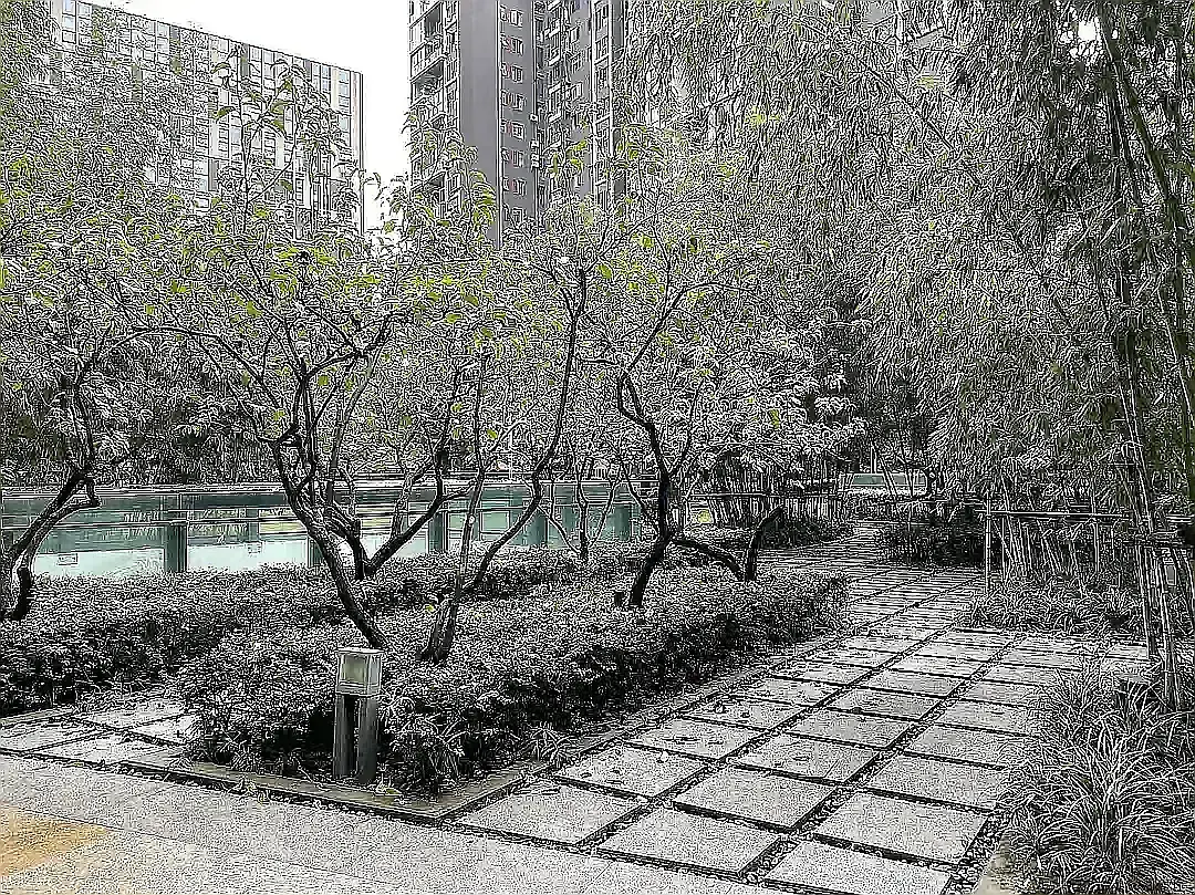 房屋图片 8