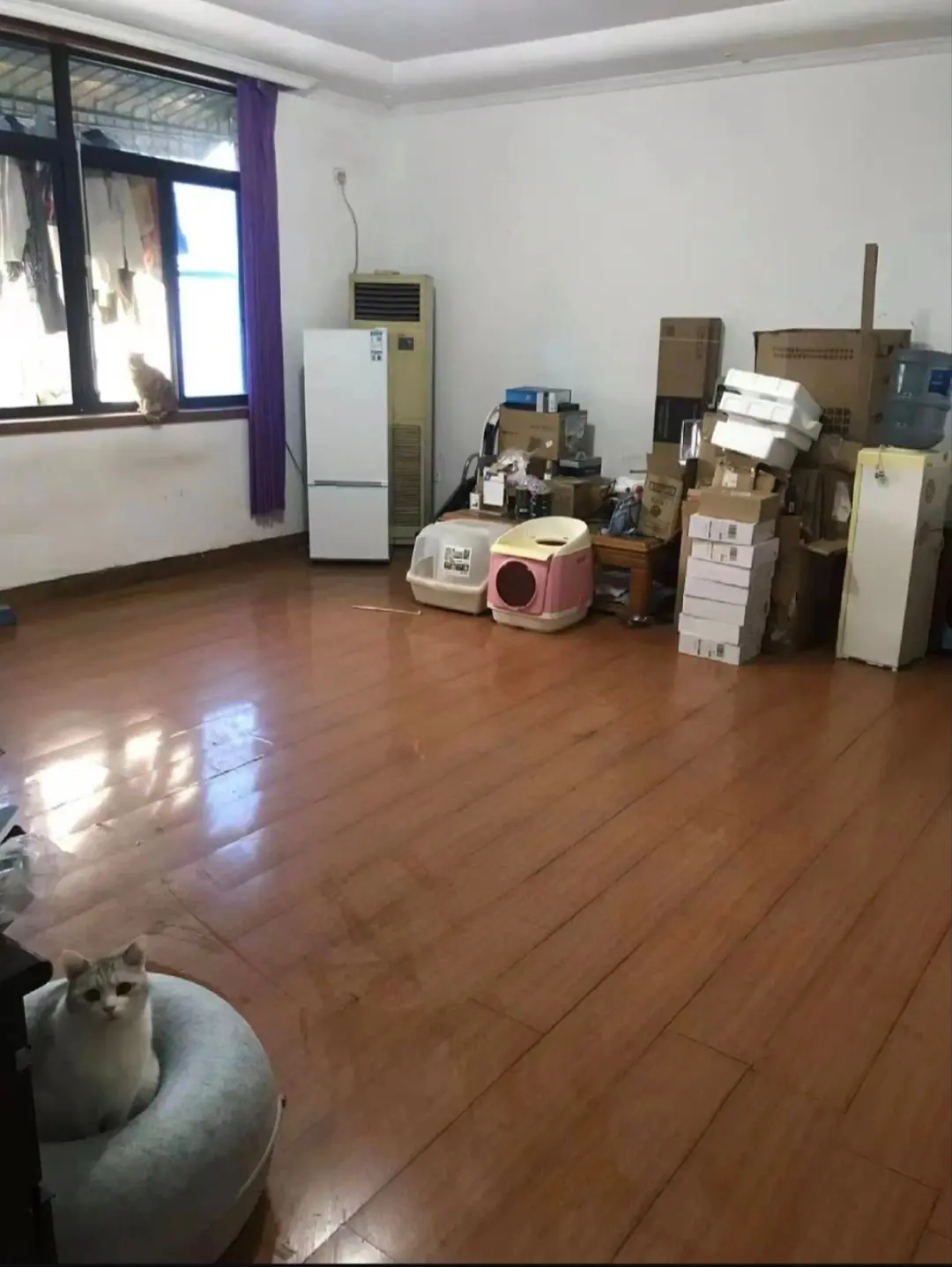 房屋图片 4
