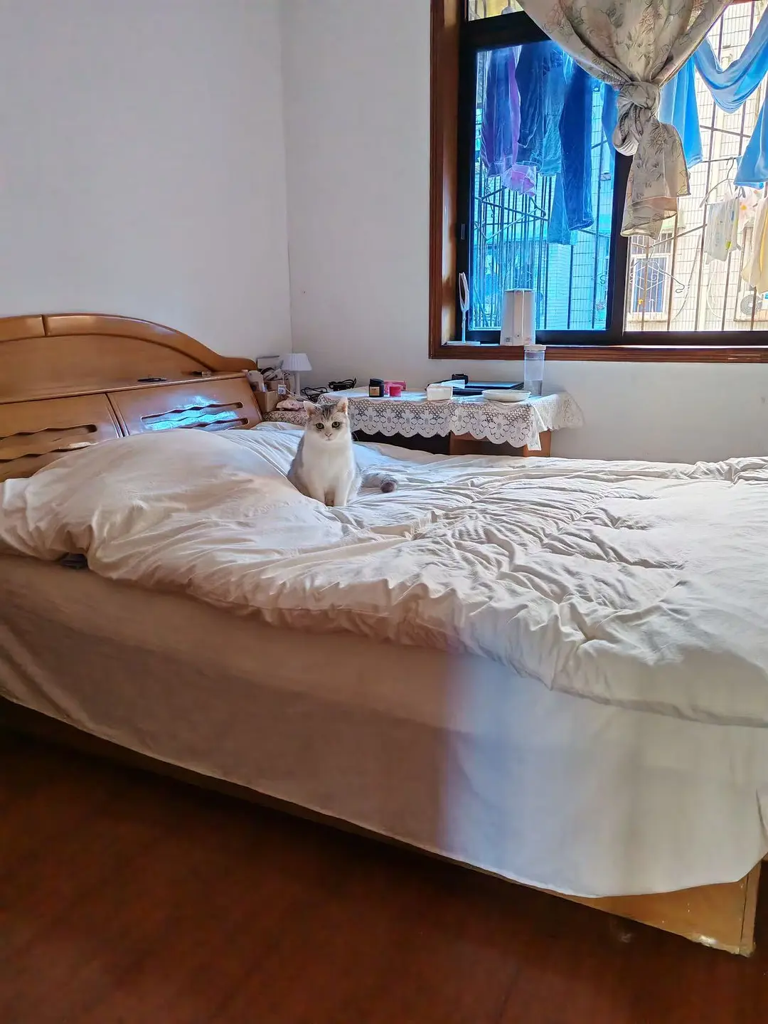 房屋图片 2