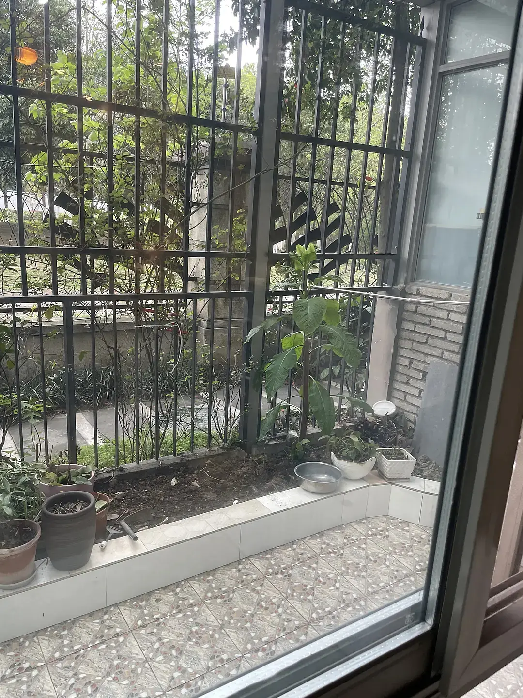 房屋图片 8