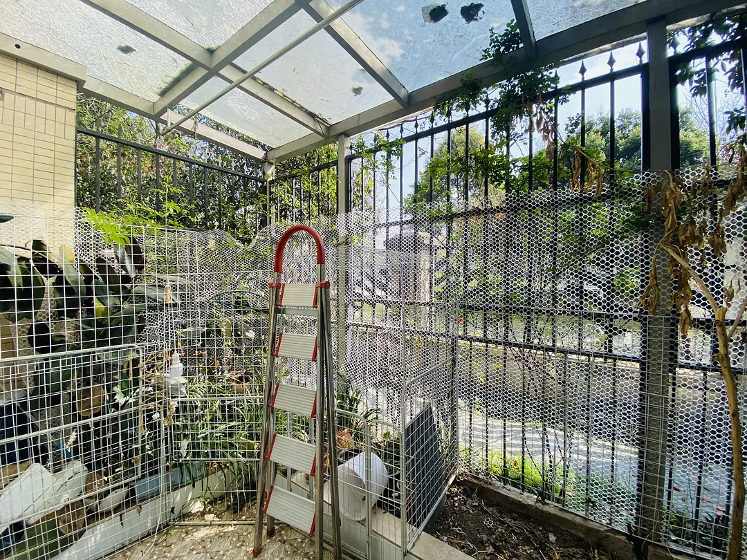 房屋图片 6
