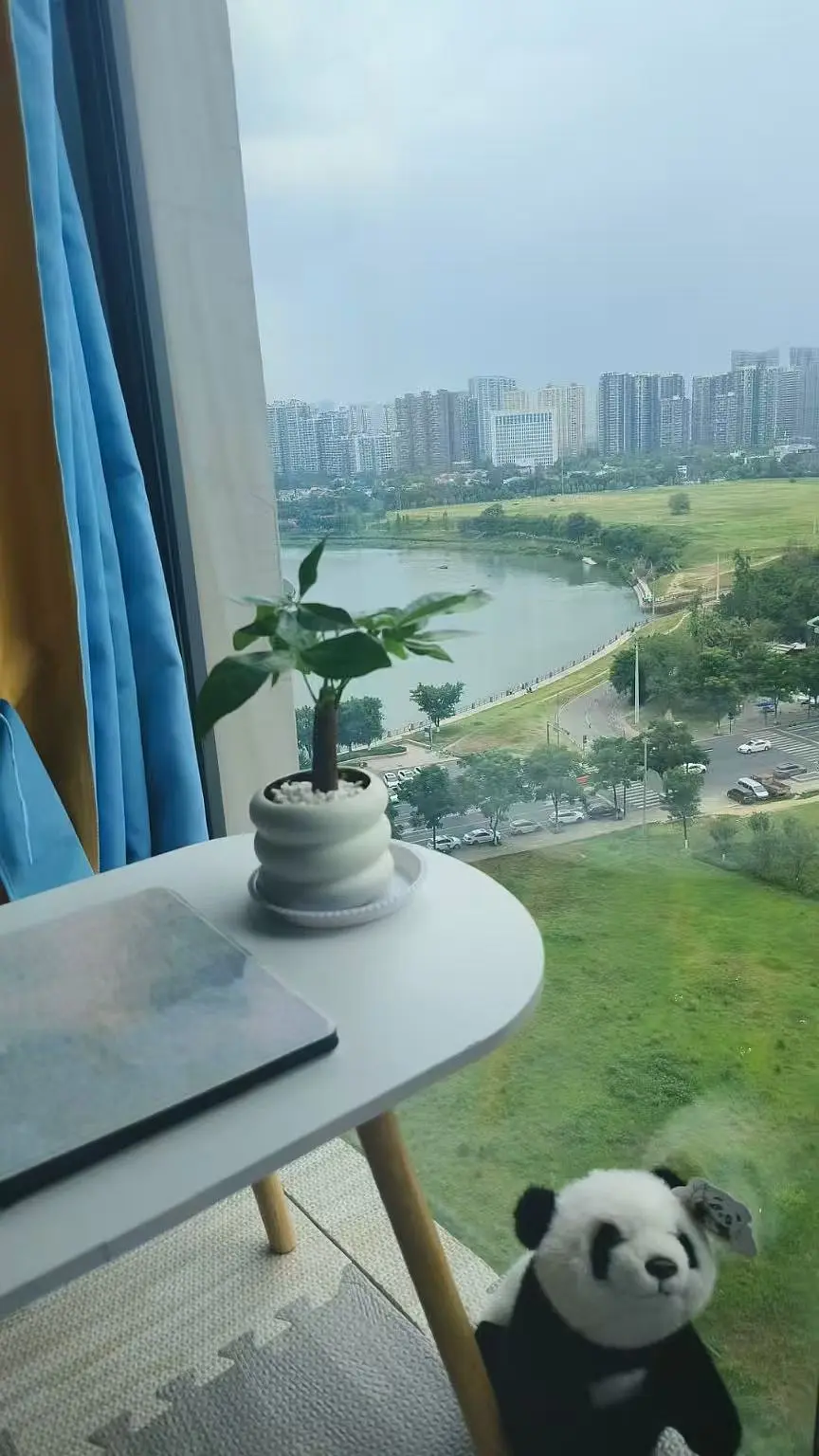 房屋图片 2