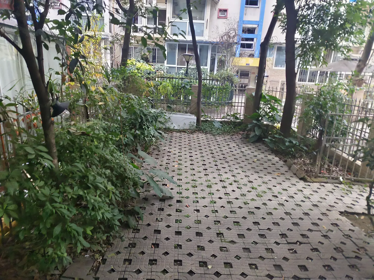 房屋图片 8