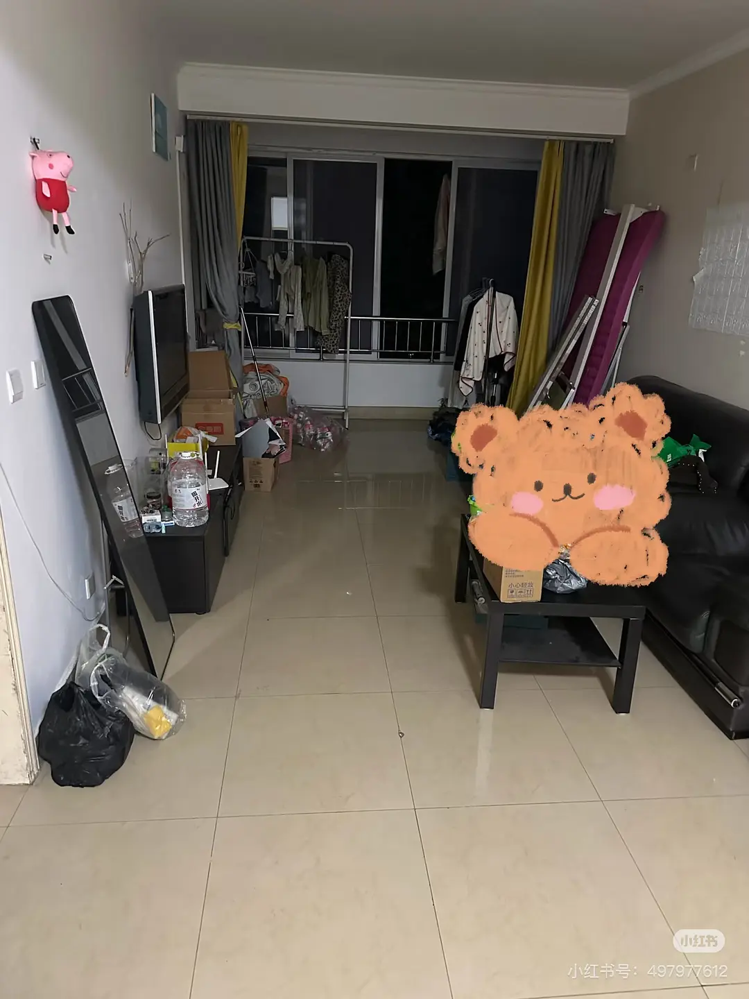 房屋图片 4