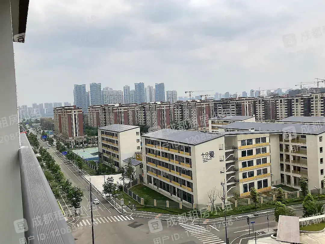 房屋图片 12