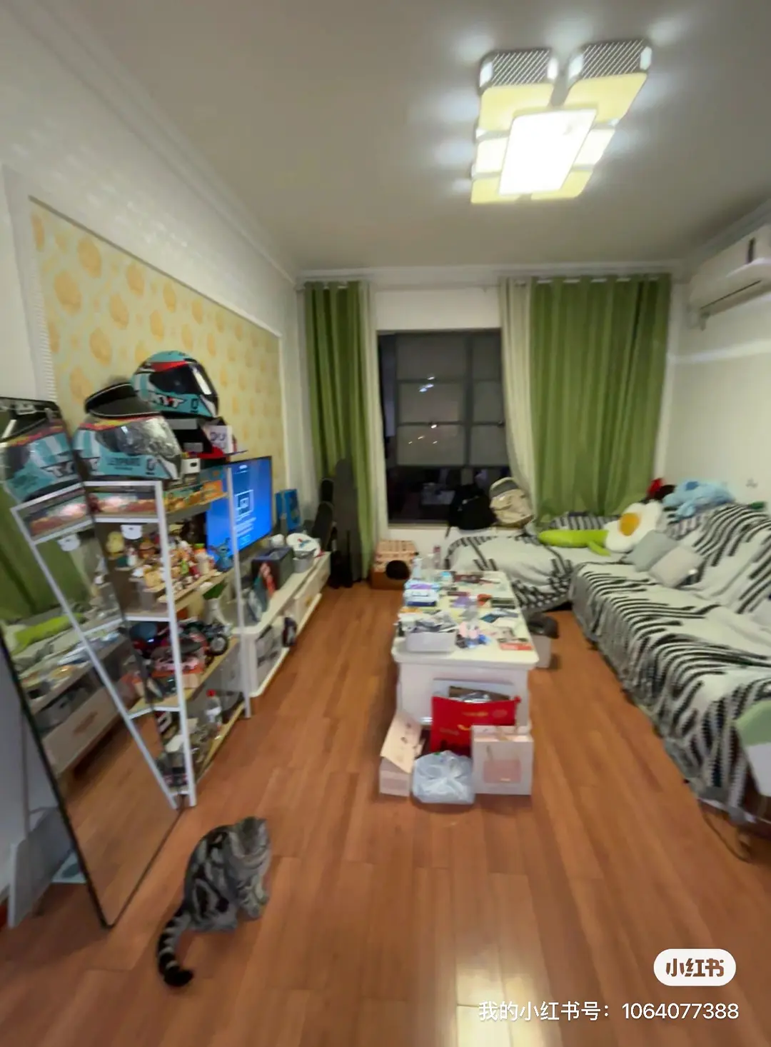 房屋图片 5