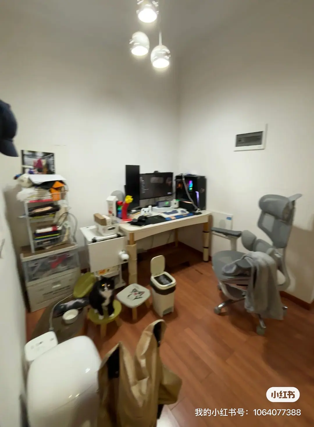 房屋图片 6