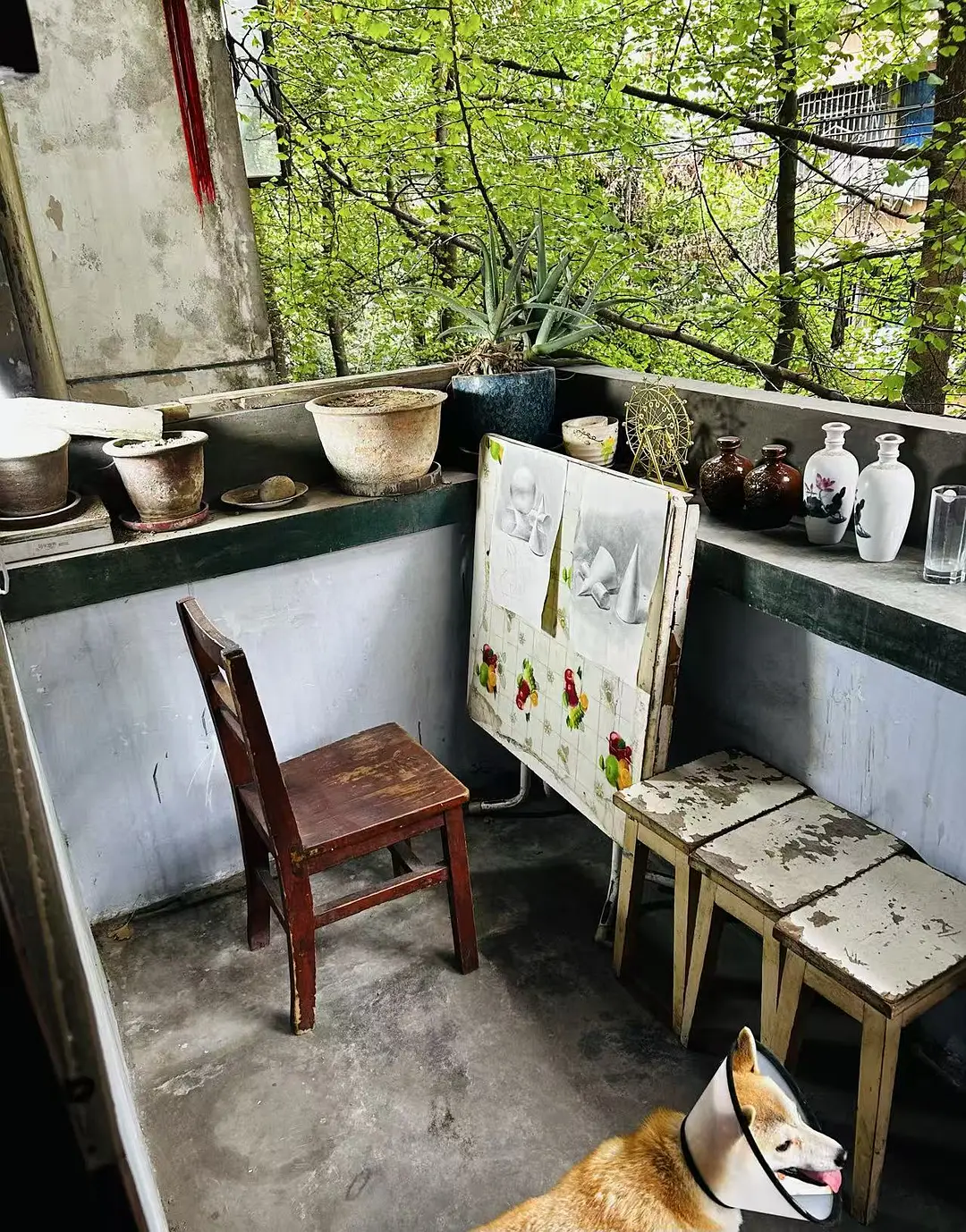 房屋图片 8