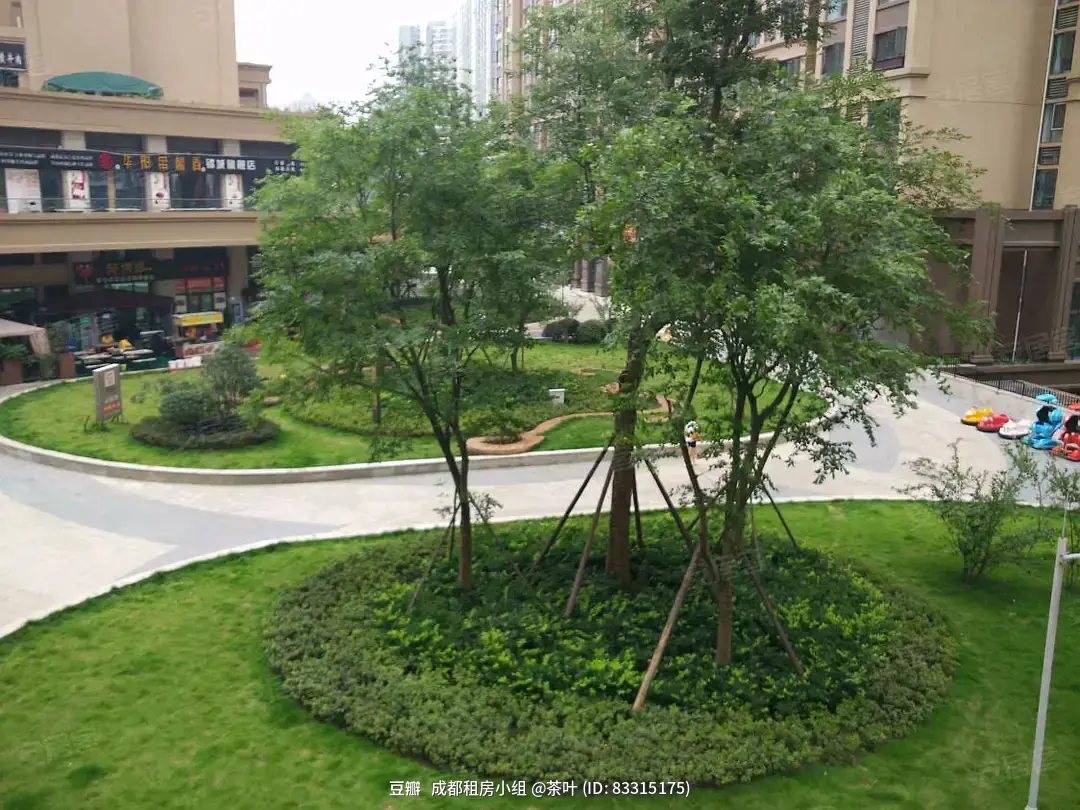 房屋图片 8