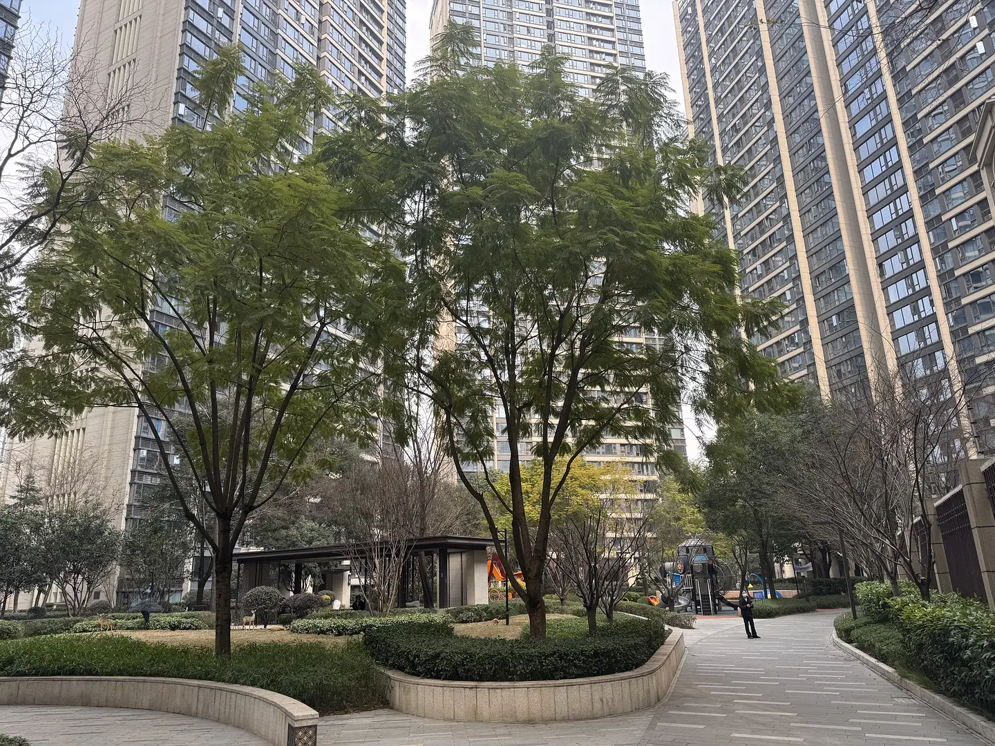 房屋图片 9
