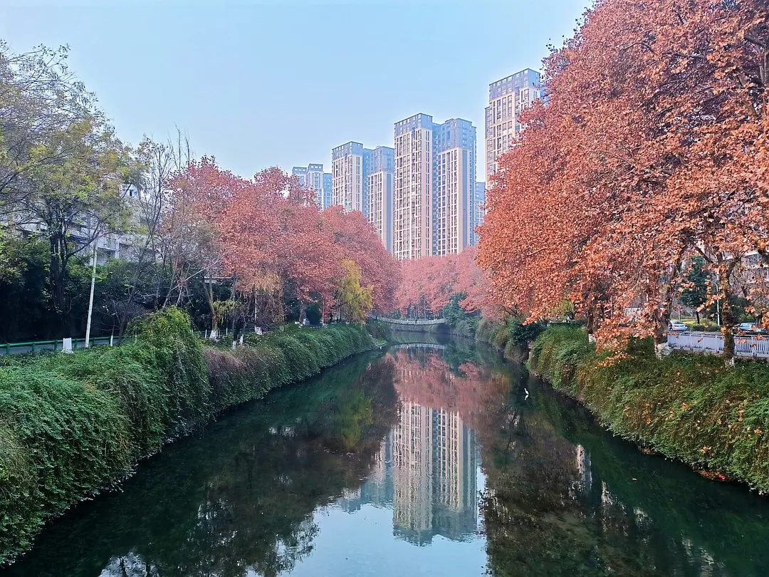 房屋图片 22