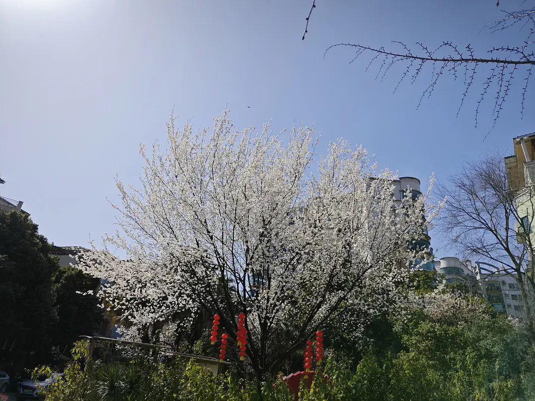 房屋图片 1