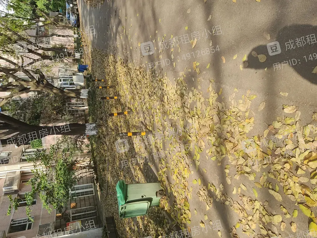 房屋图片 2