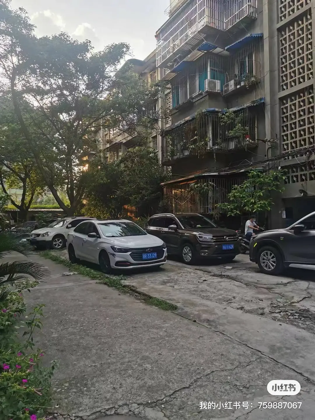 房屋图片 5