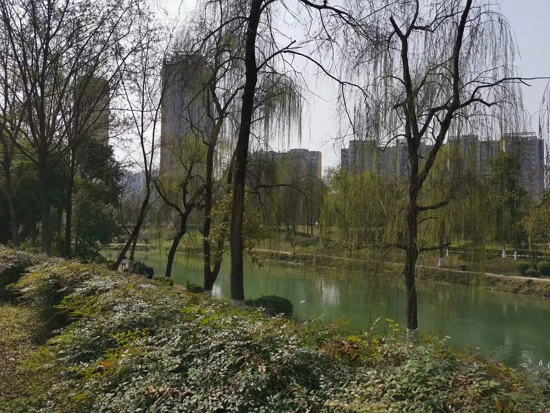 房屋图片 10