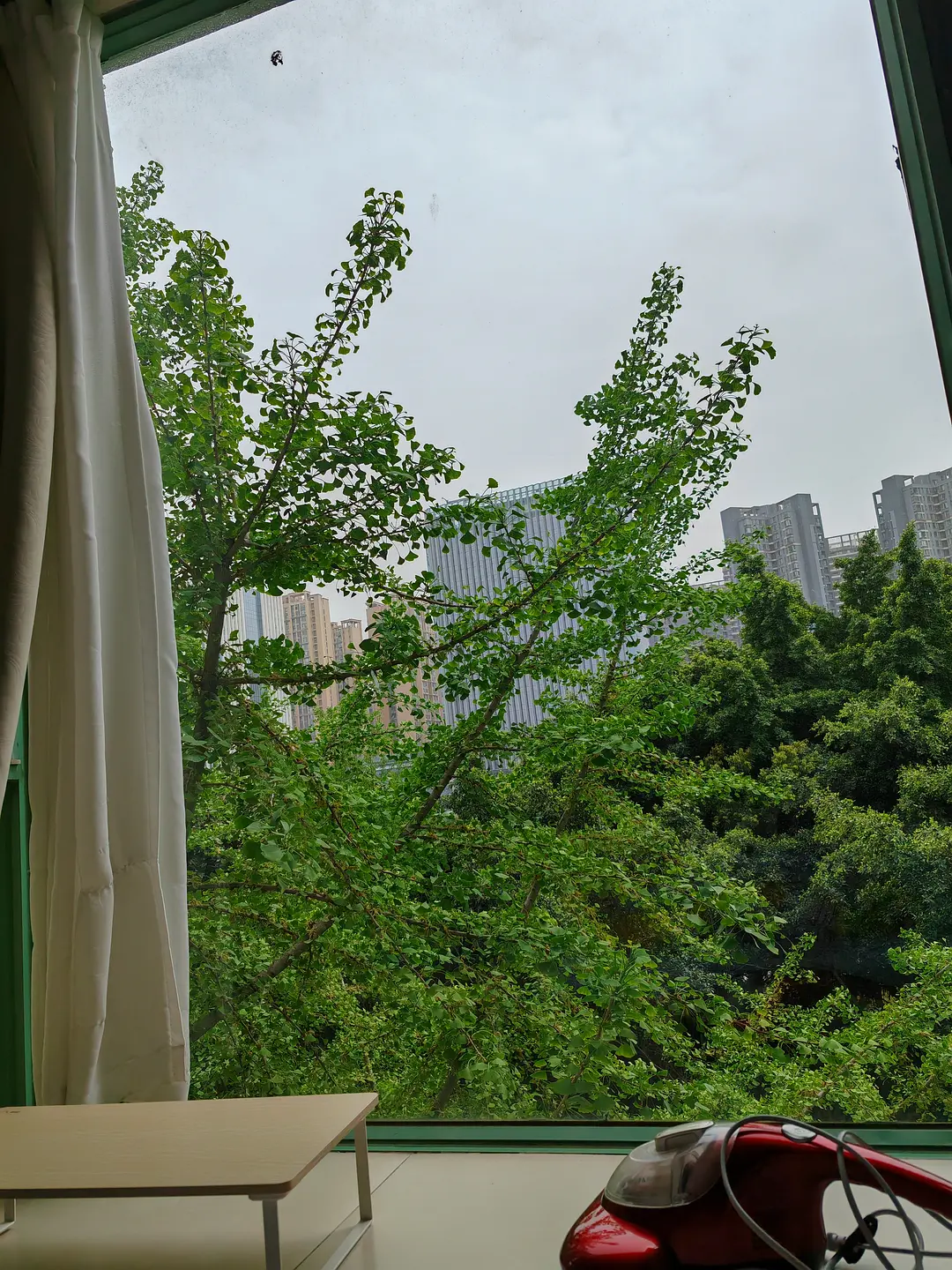 房屋图片 5