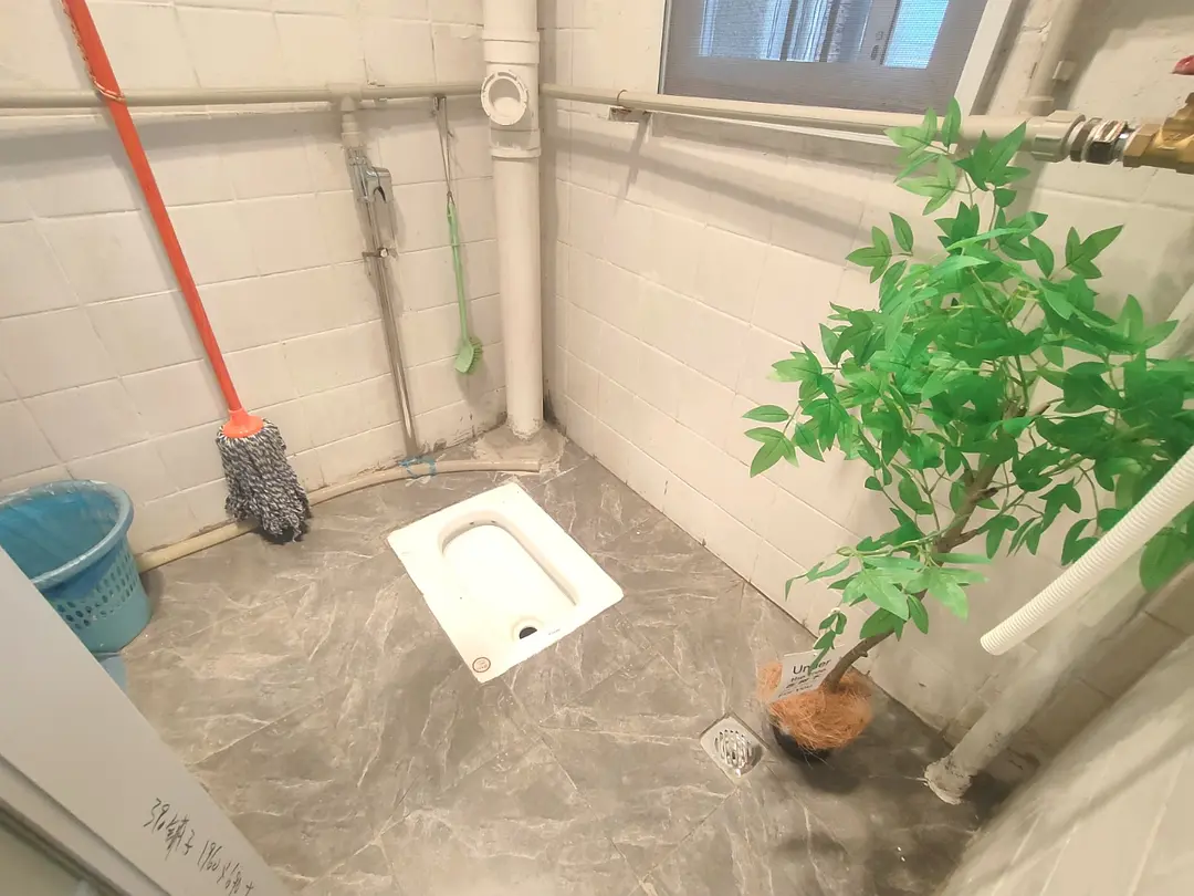 房屋图片 10