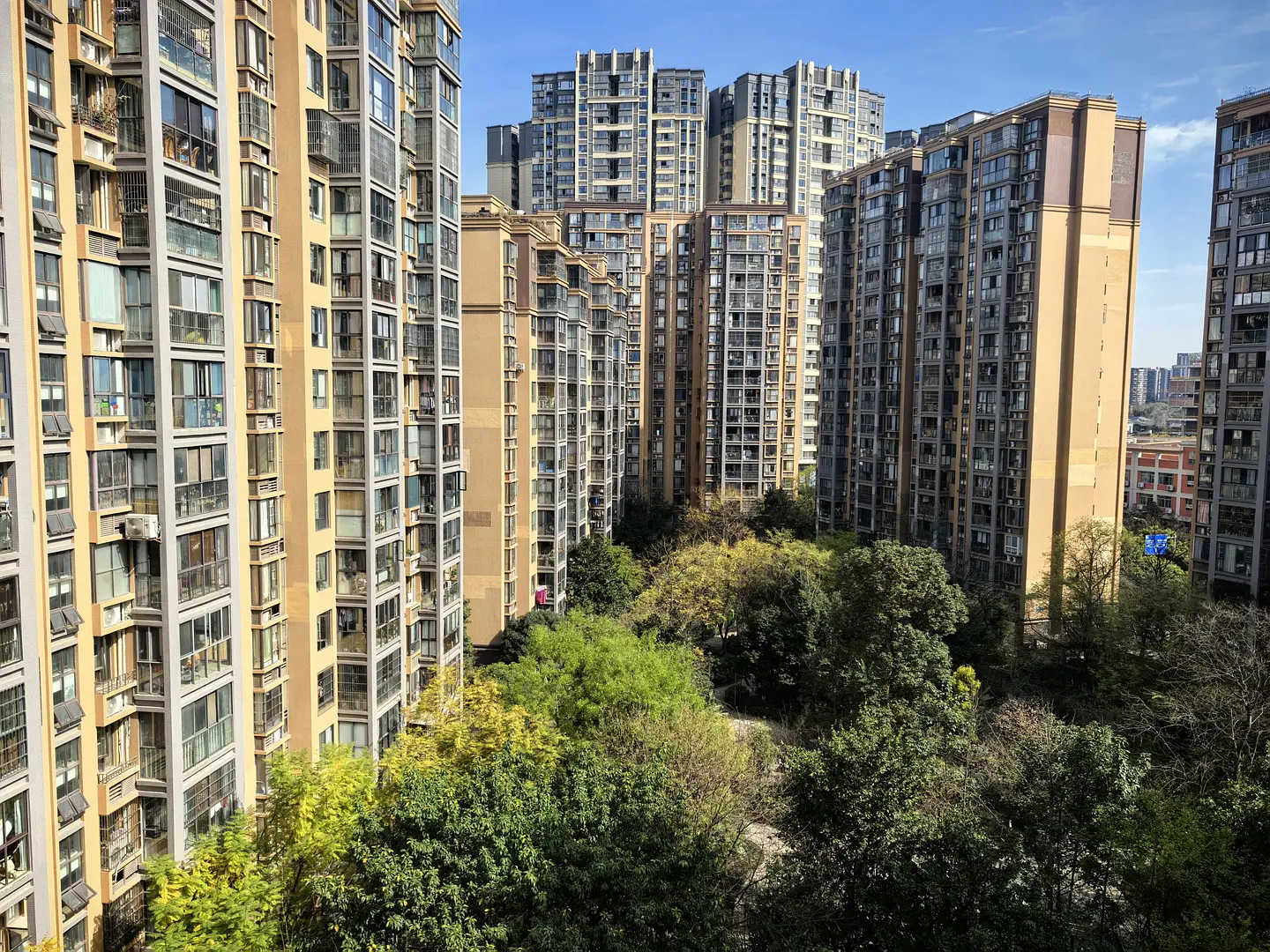 房屋图片 11