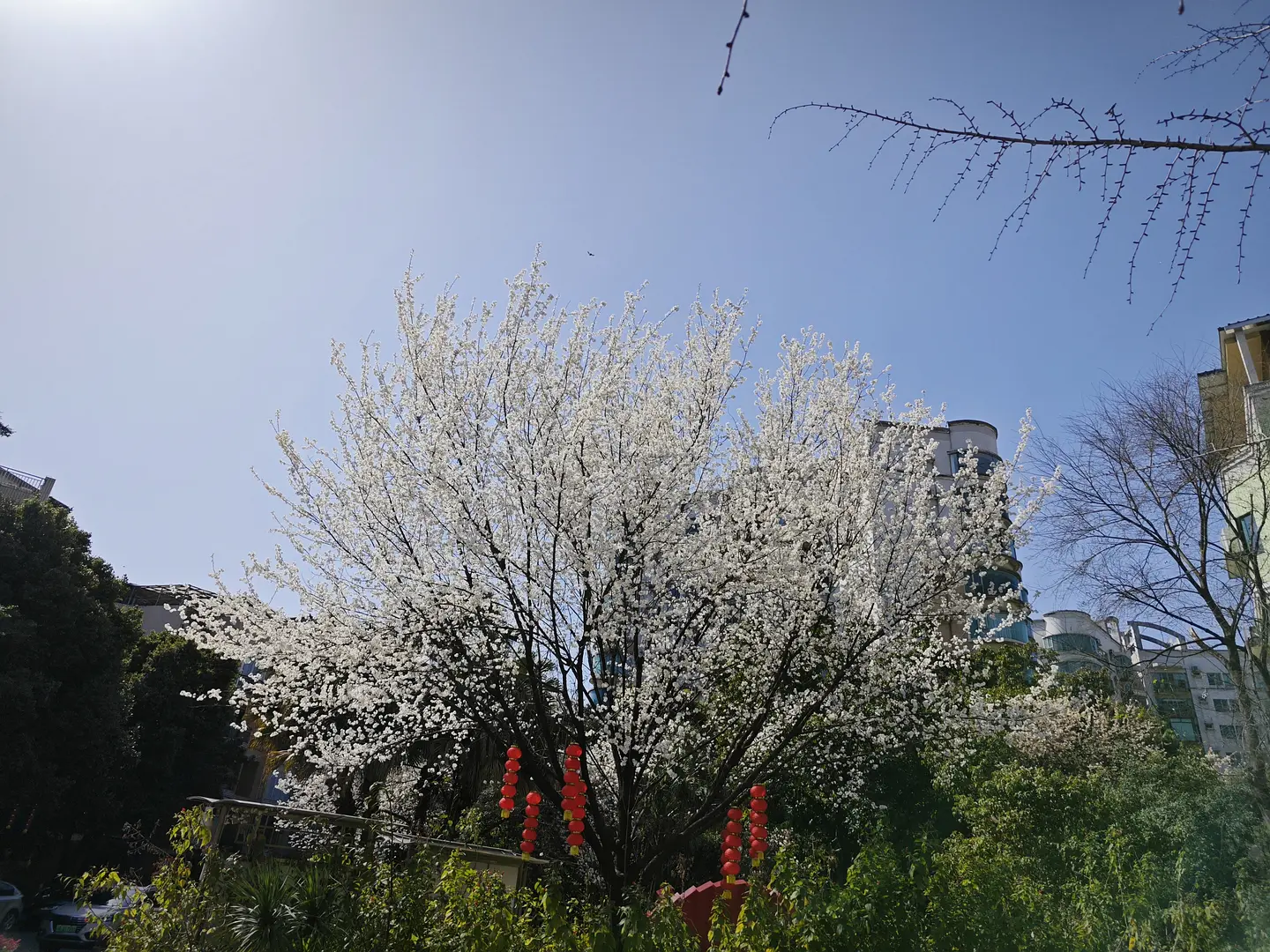 房屋图片 1