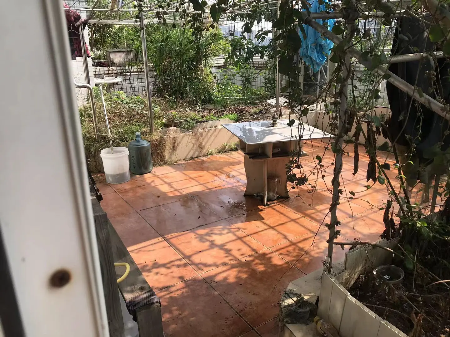 房屋图片 6