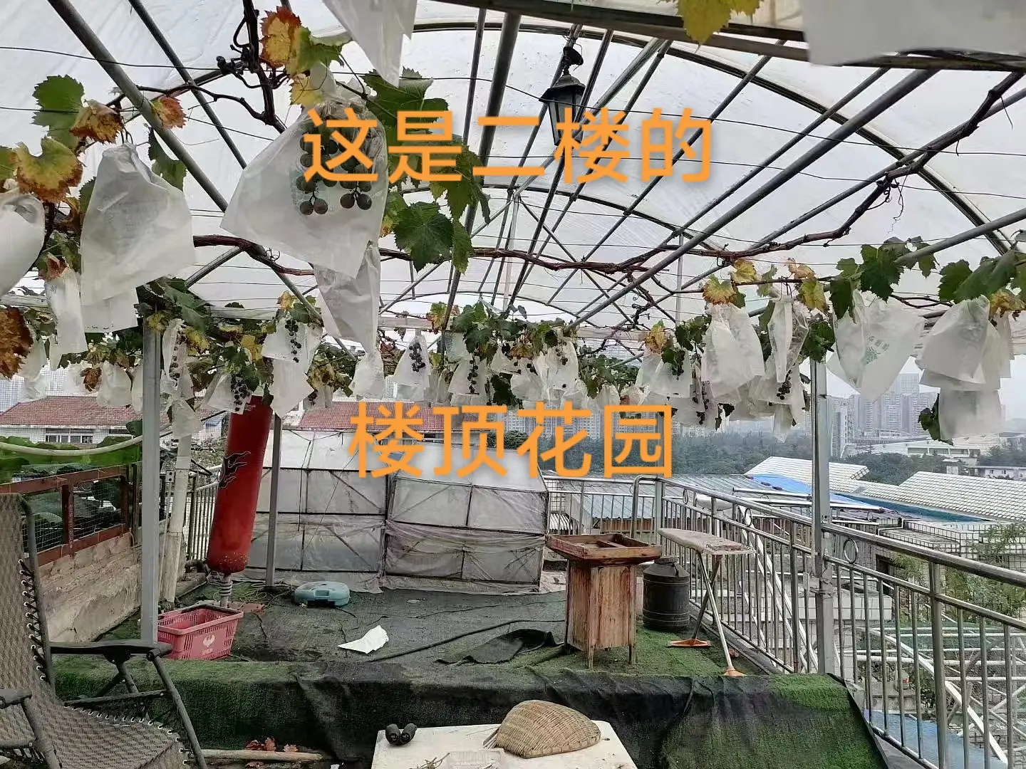 房屋图片 8