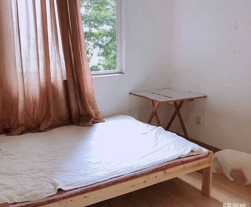 房屋图片 4