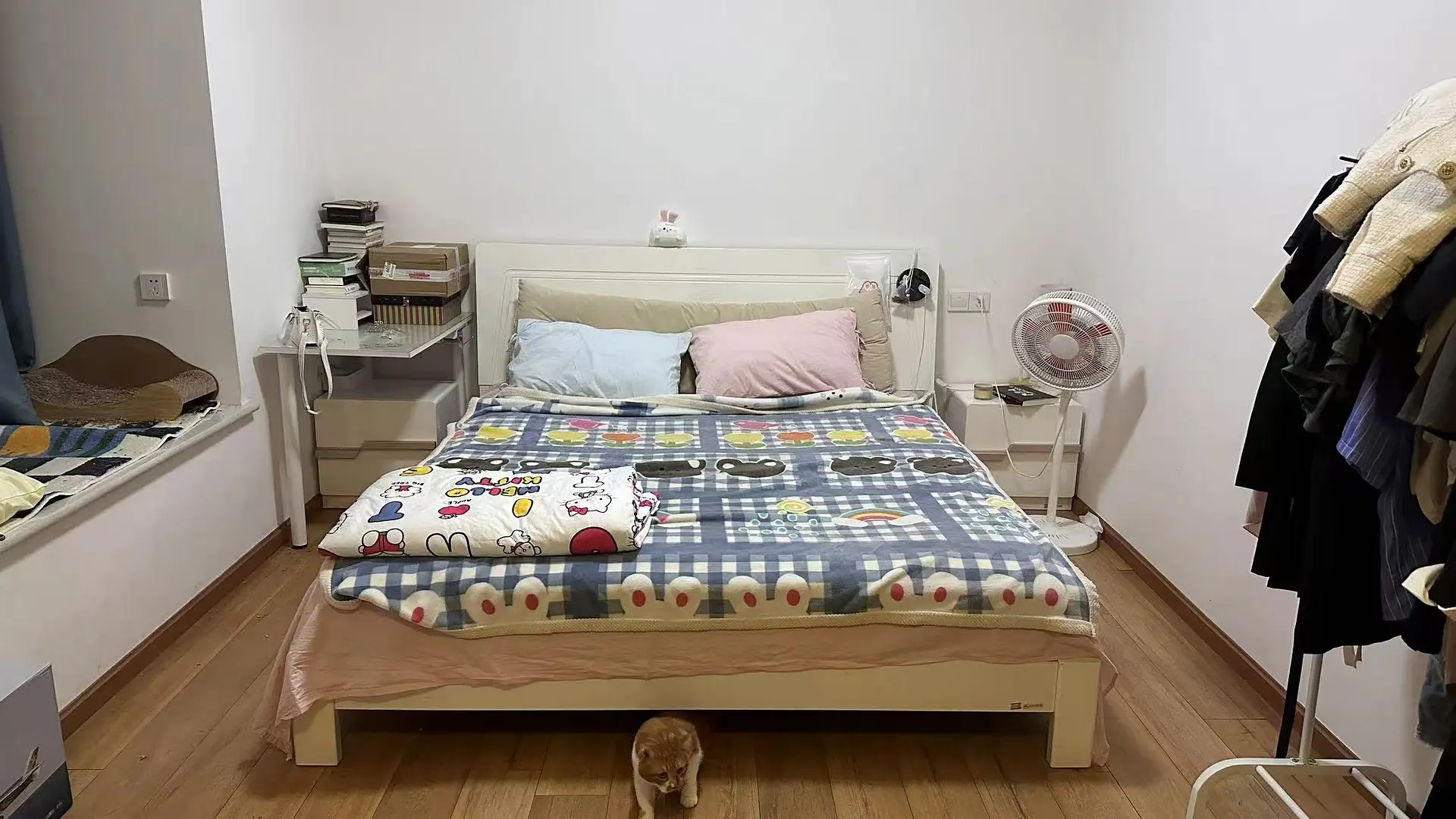 房屋图片 3