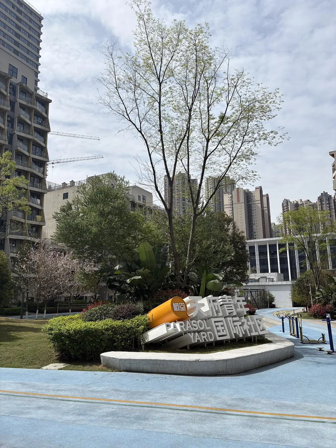 房屋图片 10